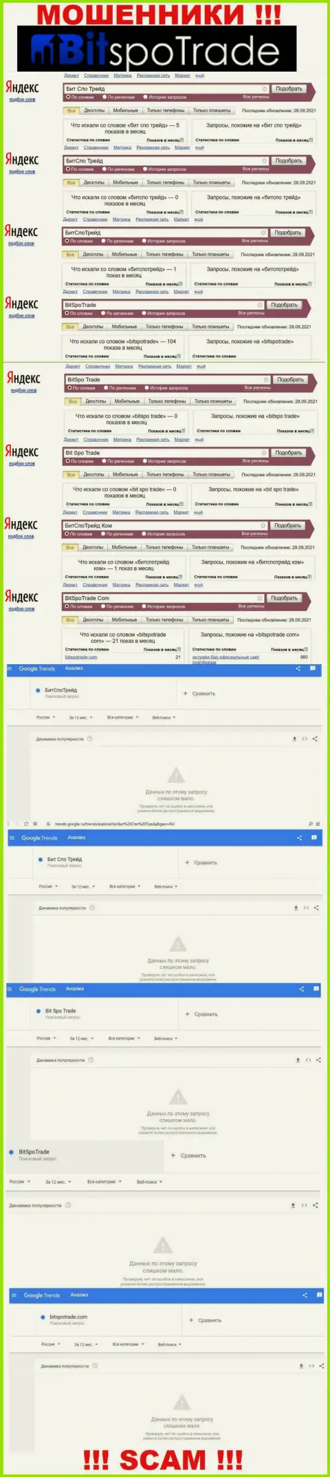 Статистические данные онлайн-запросов по бренду мошенников BitSpoTrade