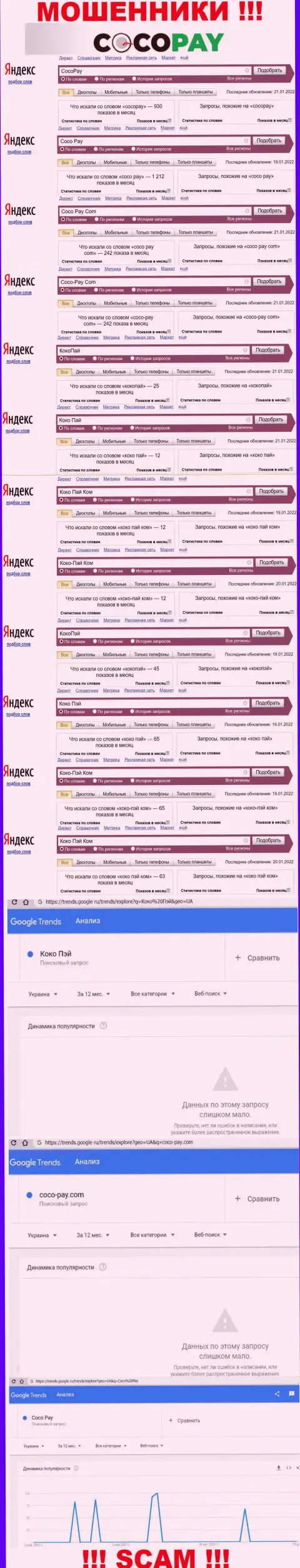 Количество брендовых поисковых запросов по мошенникам Коко Пэй
