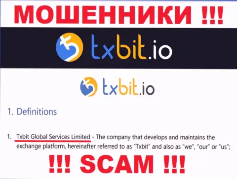 Данные о юридическом лице интернет-разводил TXBit