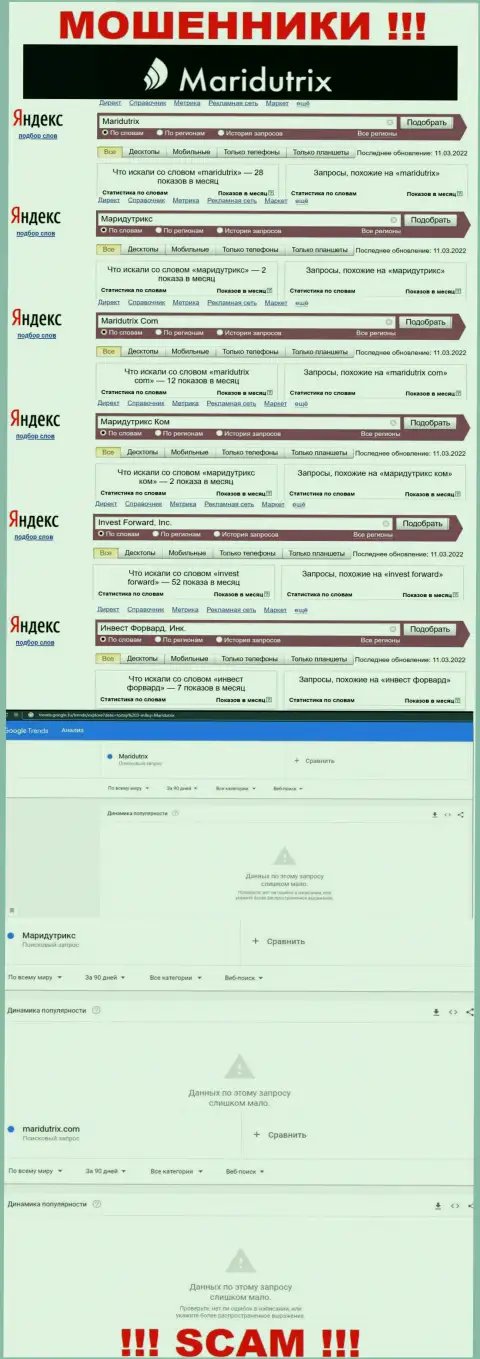 Статистические сведения запросов по бренду мошенников Маридутрикс